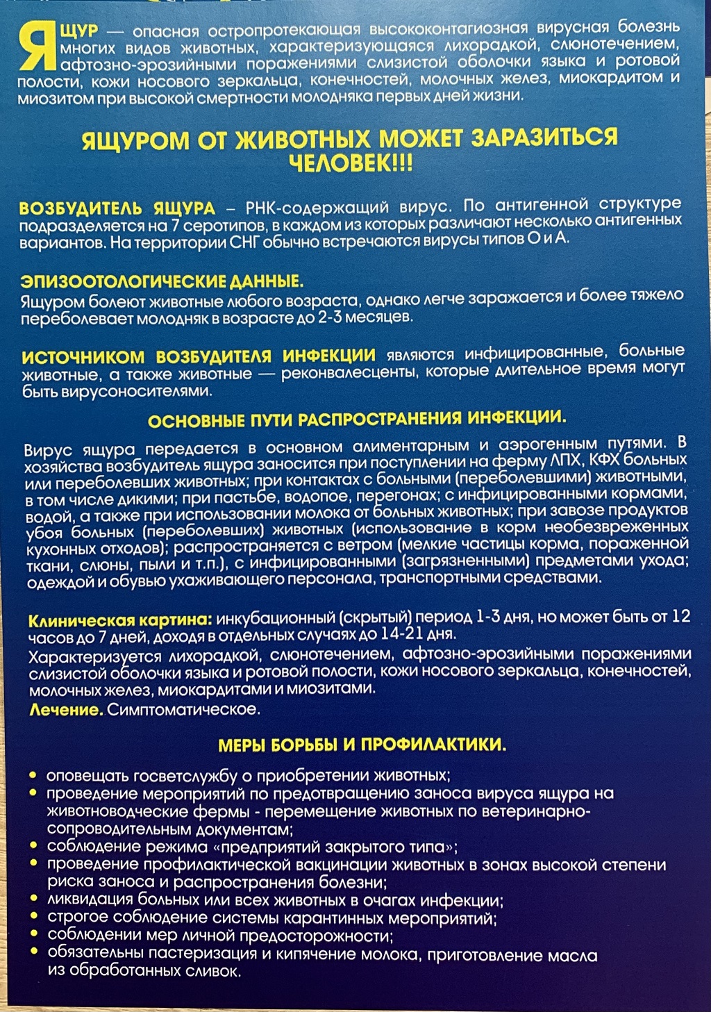 ГБУ ЛО «СББЖ Волховского и Киришского районов» - Эпизоотическое благополучие